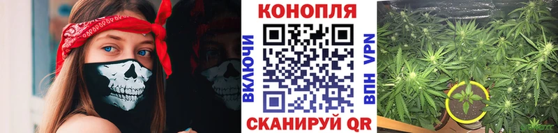 Бошки марихуана Amnesia  Асбест 